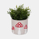 20315-01#6" Magic Mushroom Applique Planter, Red/white