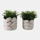 20318#S/2 6/7" Clouds Planter, Ivory/gold