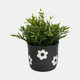 20360-02#6" Flower Power Planter, Black/white