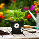 20360-02#6" Flower Power Planter, Black/white