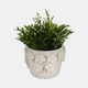 20362-02#6" Floral Applique Planter, Ivory