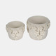 20362-02#6" Floral Applique Planter, Ivory