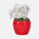 20377#7" Strawberry Planter, Red/green