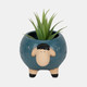 20379-01#6" Sheep Planter, Blue