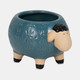 20379-01#6" Sheep Planter, Blue