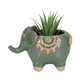 20379-02#7" Elephant Planter, Green