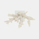 20439-02#14" Branching Coral On Glass Base, White