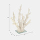 20439-02#14" Branching Coral On Glass Base, White