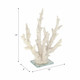 20439-02#14" Branching Coral On Glass Base, White