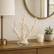 20439-02#14" Branching Coral On Glass Base, White
