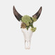 20450-02#18" Bull Skull With Succulents, Multi