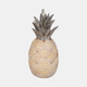 20471#12" Seashell Pineapple, Multi