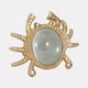 20716-01#7" Crab Magnifying Glass, Gold