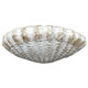 16883-01#8" Sea Scallop Shell Woven Pattern, White