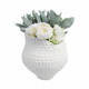 EV21281-01#12"callan Small Porcelain Vase, Ivory