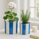 21607-03#S/2 6/8" Striped Scallop Edge Planters, White/blue