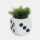 21631#6" Dice Planter, White/black