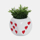 21632-01#6" Dice Planter, White/red