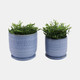 21661-03#Cer, S/2 2 6/8" Textured Planter W/ Saucer,  Blue