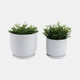 21661-08#S/2 6/8" Dotted Planter W/ Saucer, White