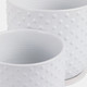 21661-08#S/2 6/8" Dotted Planter W/ Saucer, White