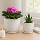 21661-08#S/2 6/8" Dotted Planter W/ Saucer, White
