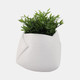 21664#8" Abstract Planter, White