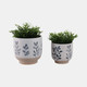 21665-01#S/2 6/8" Hand Painted Leaves Planters, White/blue