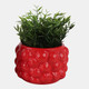 20273-03#7" Strawberries Flower Pot, Red