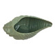 EV21757#19x8" Moura Shell Portugal Planter