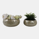 20251-05#S/2 10/12" Iridescent Bowl Planters, Green
