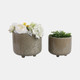 21789-02#S/2 9/11" Flower Branches Planters, Sage