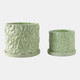 21829-02#S/2 6/8" Daisy Flower Planter, Green
