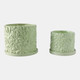 21829-02#S/2 6/8" Daisy Flower Planter, Green