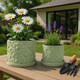 21829-02#S/2 6/8" Daisy Flower Planter, Green