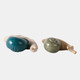 20380-01#S/2 8" Flower Snails, Blue/green