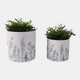 21860#S/2 6/8" Wildflower Field Planters, White/navy