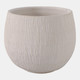 21861-02#8" Pampas On Rounded Planter, Ivory