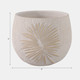 21861-02#8" Pampas On Rounded Planter, Ivory