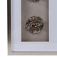 EV21969#16x35 Evard Agate Stone Flower Shadowbox Art