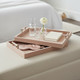 EV22093#S/2 17/20halofax Tan Suede Selenite Hardware Trays