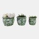 22105#S/3 8/10/12"green/wht Floral Planters