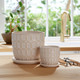 22110-01#S/2 6/8" Squoval Design Saucer Planters, Ivory