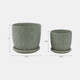 22110-04#S/2 6/8" Squoval Design Saucer Planters, Sage Gree