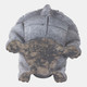 22130#14x10" Turtle With Solar Flowers, Grey Multi