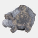 22130#14x10" Turtle With Solar Flowers, Grey Multi
