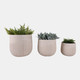 22146-01#S/3 11/14/18" Resin Planters With Wavy Ribbing, Iv