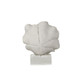 EV22159#12" Egerton Coral Statuary With Crystal Base, Wht