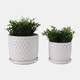 22200-01#S/2 6/8" Bubble Planter W/ Saucer, White