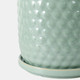 22200-02#S/2 6/8" Bubble Planter W/ Saucer, Sage Green